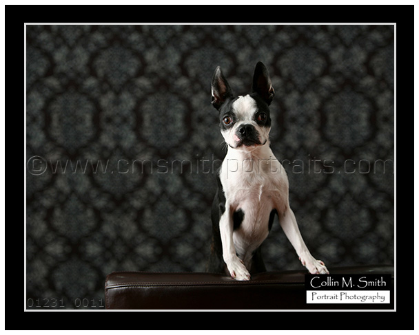 01231fb-011 01231fb-011